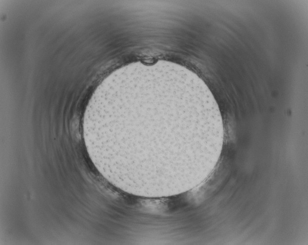 X0000062640187200601181754