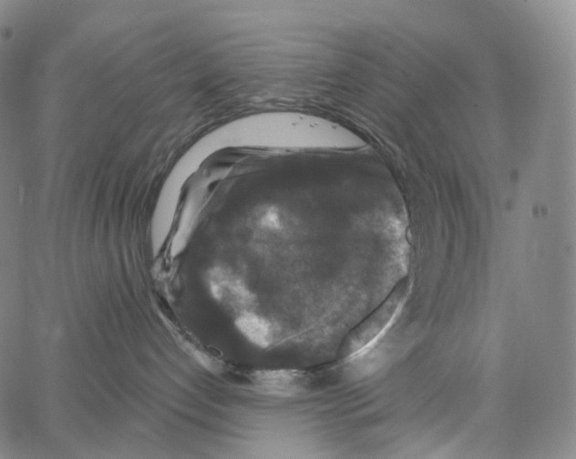 X0000062640192200601181754