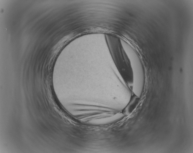 X0000062640193200601181753