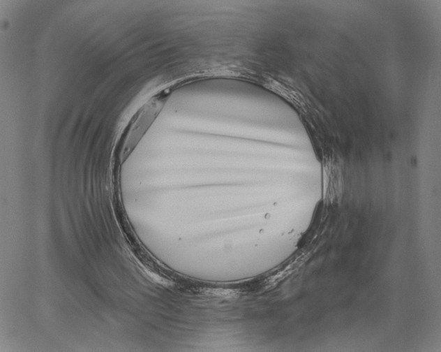 X0000062640195200601181753