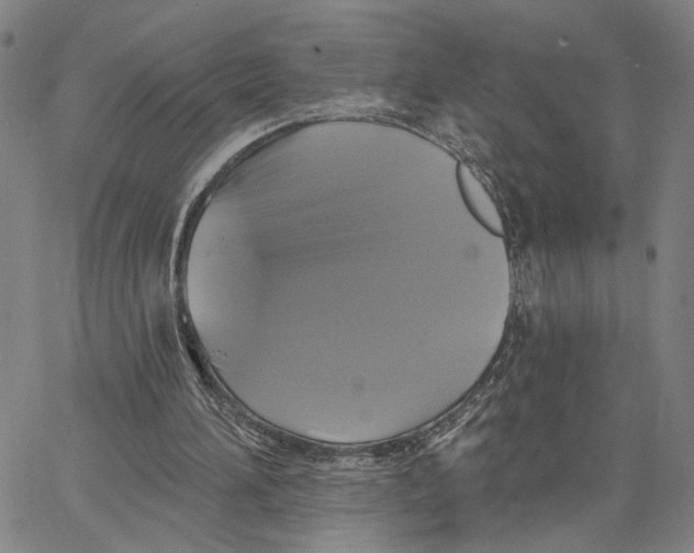 X0000062640196200601181753