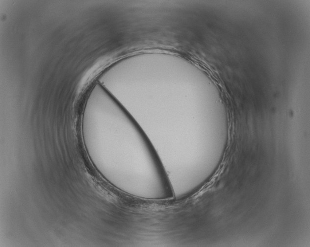 X0000062640197200601181753