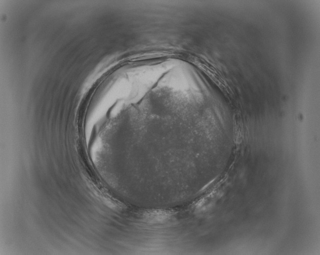 X0000062640198200601181753