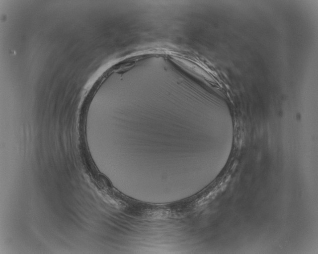 X0000062640200200601181753