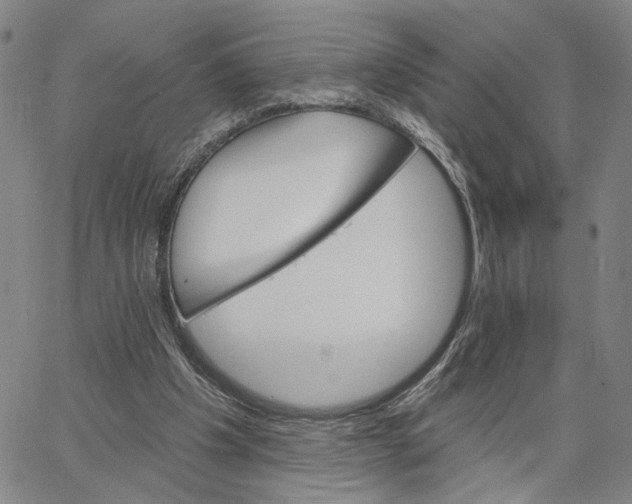 X0000062640201200601181753