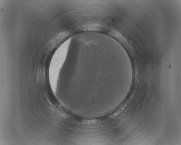 X0000062640202200601181753