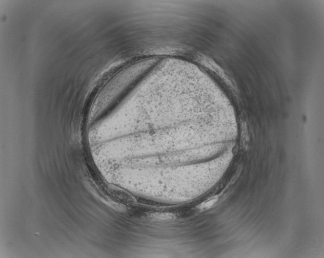 X0000062640203200601181753