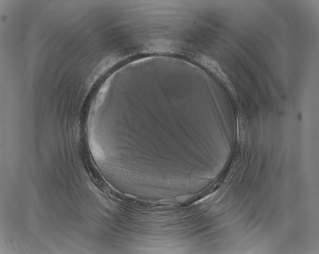 X0000062640204200601181753