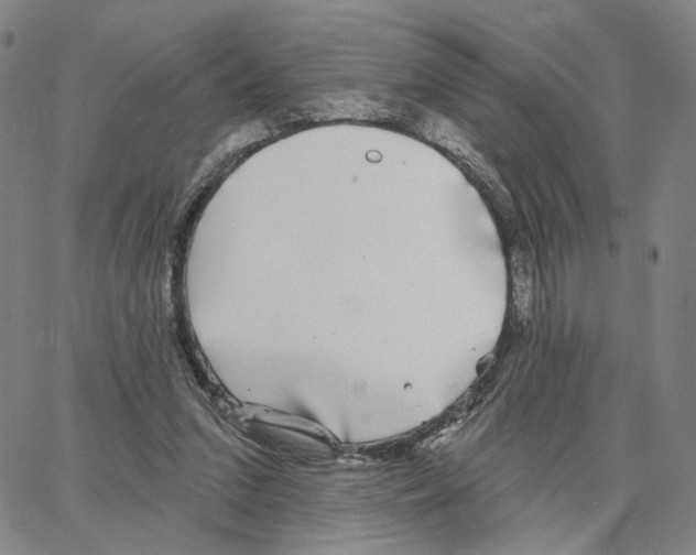 X0000062640207200601181753