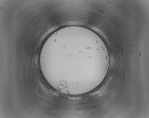 X0000062640208200601181753