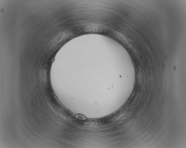 X0000062640211200601181753