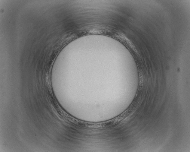 X0000062640213200601181753