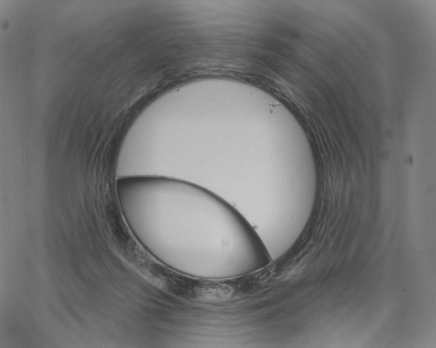 X0000062640215200601181753