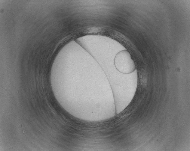 X0000062640216200601181753