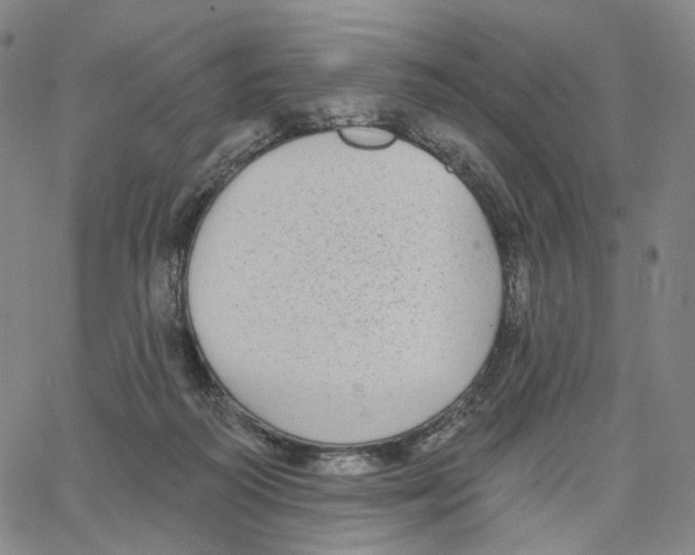 X0000062640218200601181753