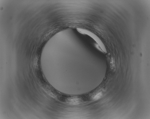 X0000062640219200601181753