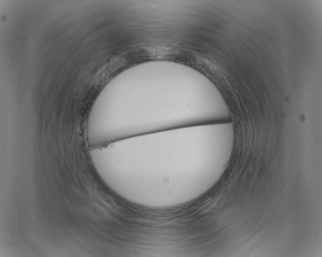 X0000062640221200601181753