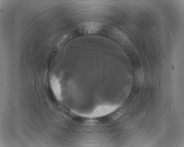 X0000062640222200601181753