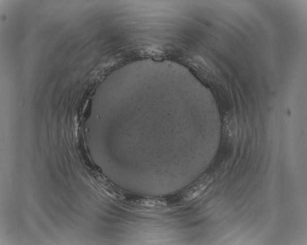 X0000062640223200601181753