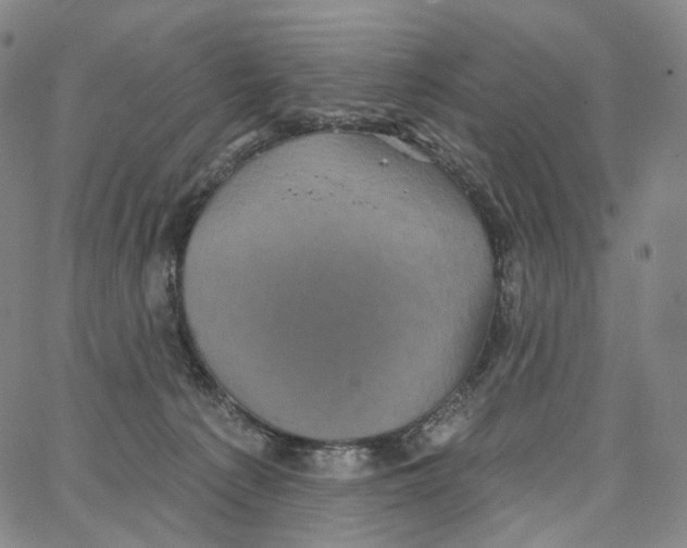 X0000062640225200601181753