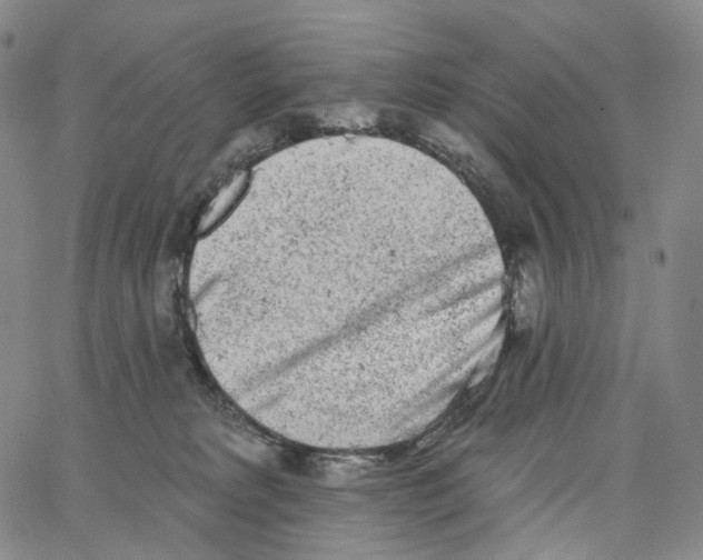 X0000062640229200601181753