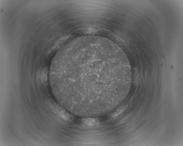 X0000062640230200601181753