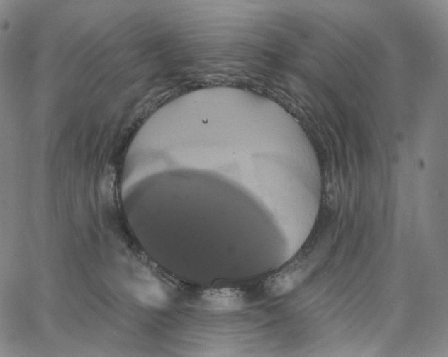 X0000062640231200601181753