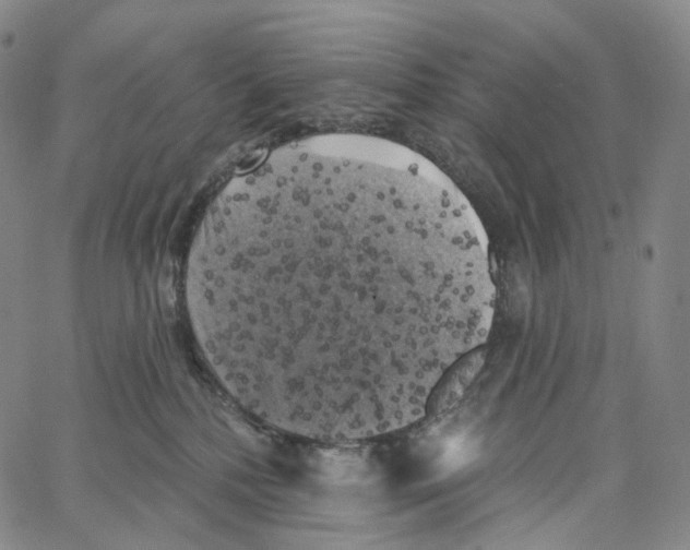 X0000062640232200601181753