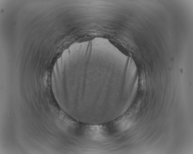 X0000062640233200601181753