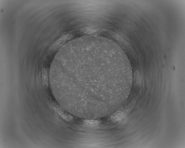 X0000062640234200601181753