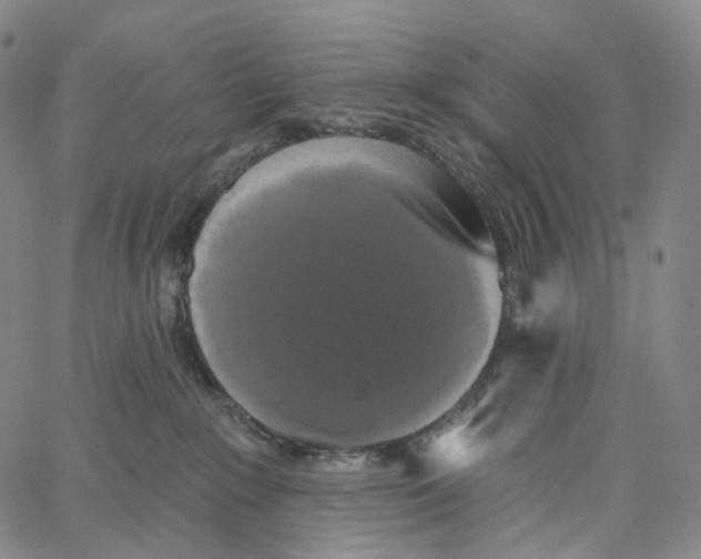 X0000062640235200601181753