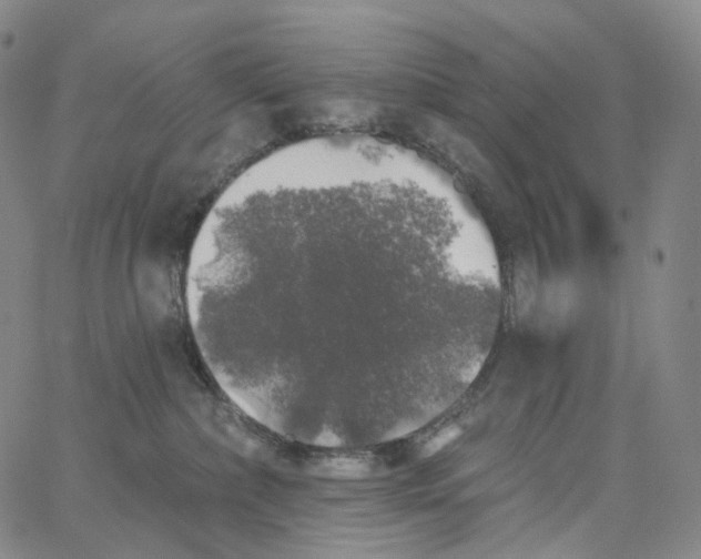 X0000062640236200601181753