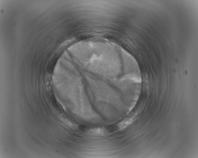 X0000062640237200601181752