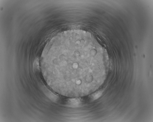 X0000062640238200601181752