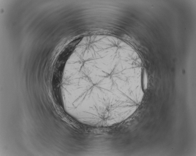 X0000062640241200601181752