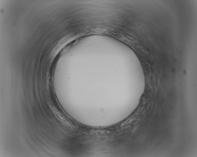 X0000062640242200601181752