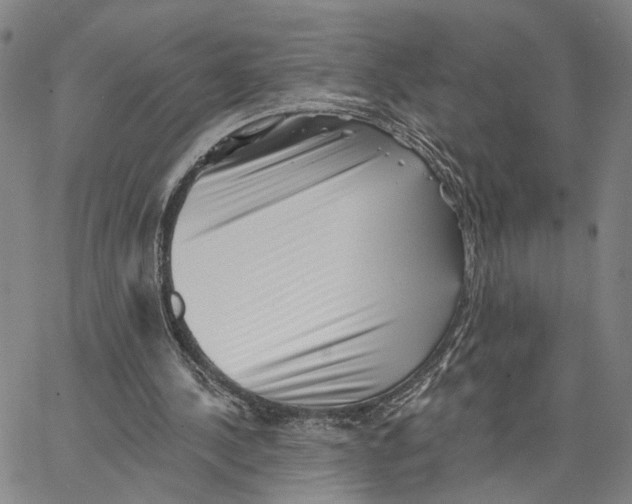 X0000062640244200601181752