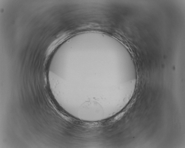 X0000062640245200601181752