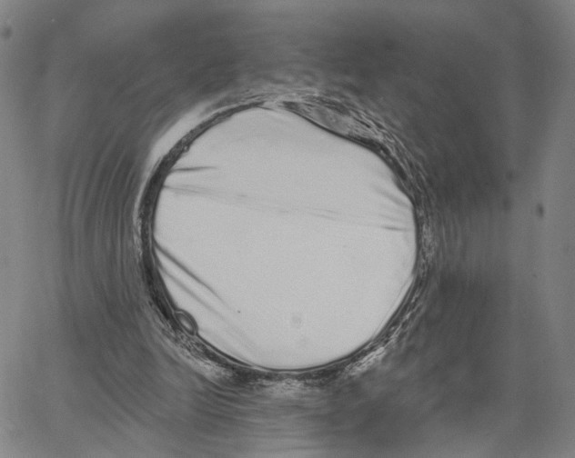 X0000062640246200601181752