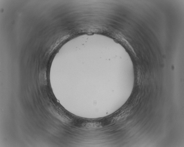 X0000062640251200601181752