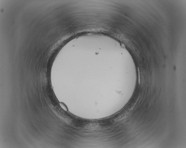 X0000062640252200601181752