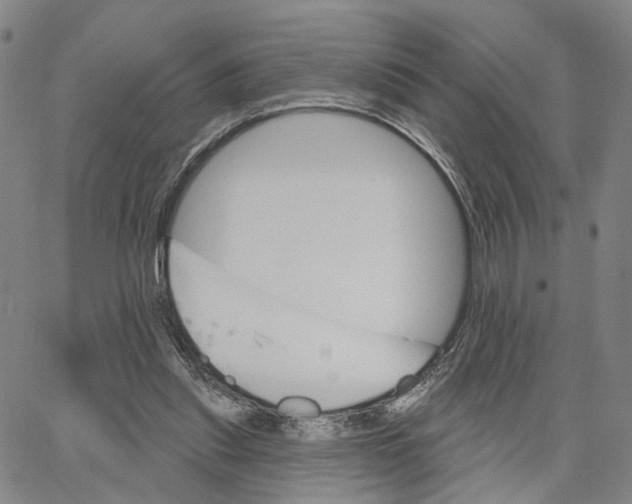 X0000062640253200601181752