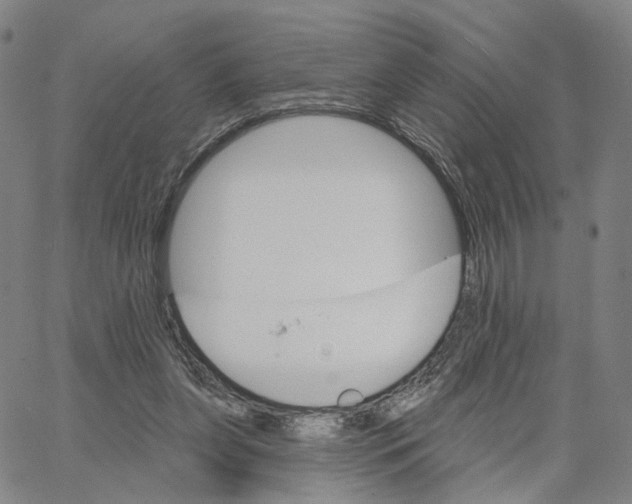 X0000062640255200601181752