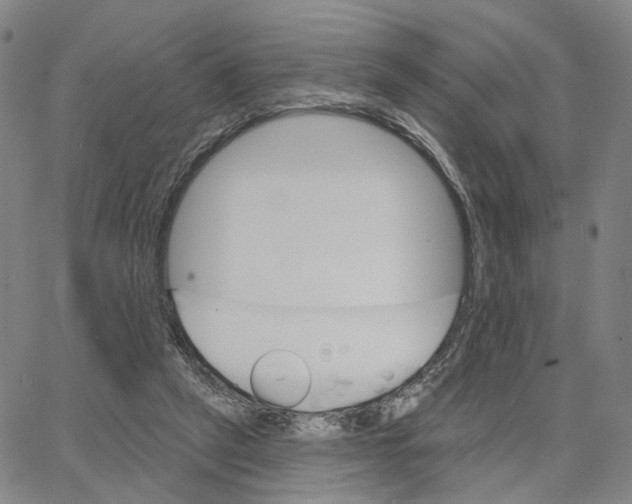 X0000062640257200601181752