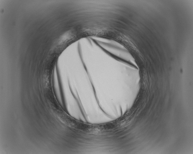 X0000062640259200601181752