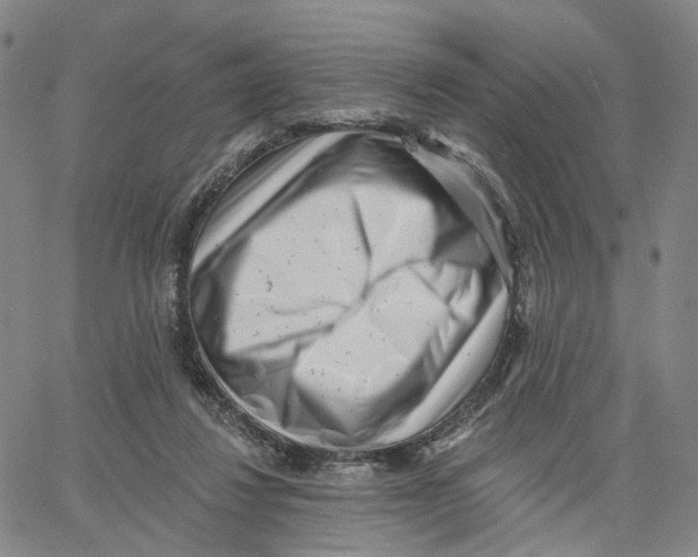 X0000062640260200601181752