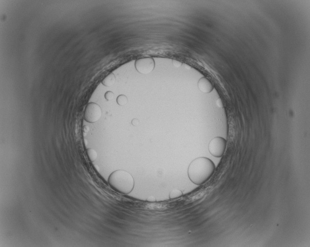 X0000062640261200601181752