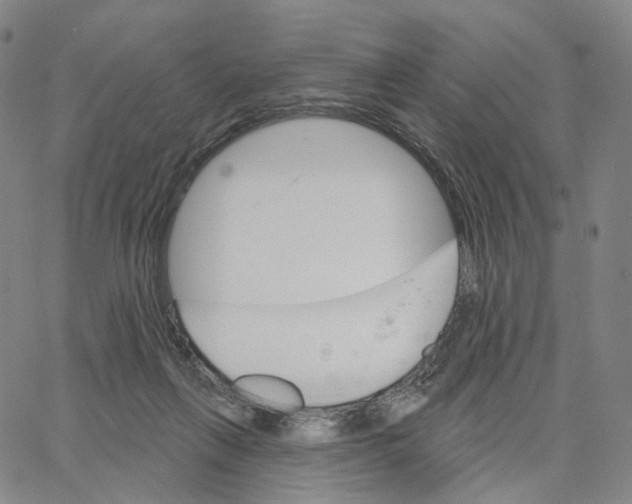 X0000062640263200601181752