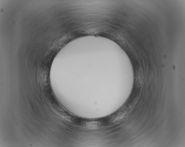 X0000062640268200601181752