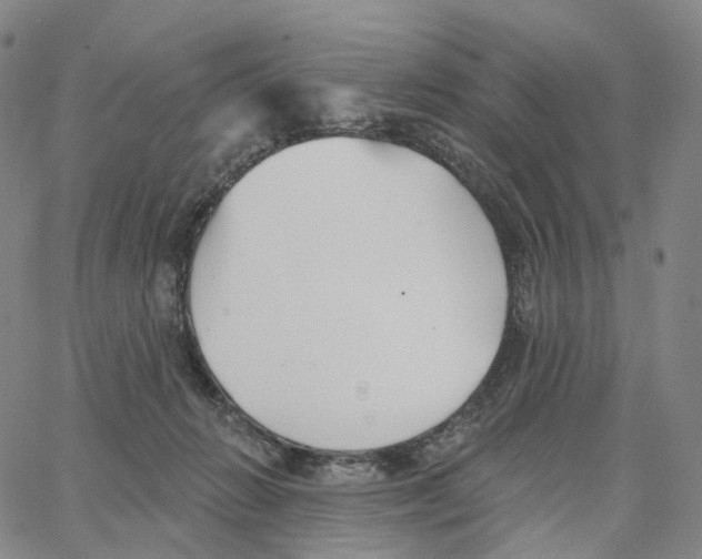 X0000062640270200601181752